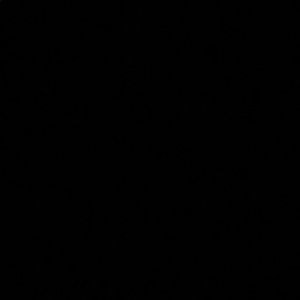 Meet your Posher, Reginald